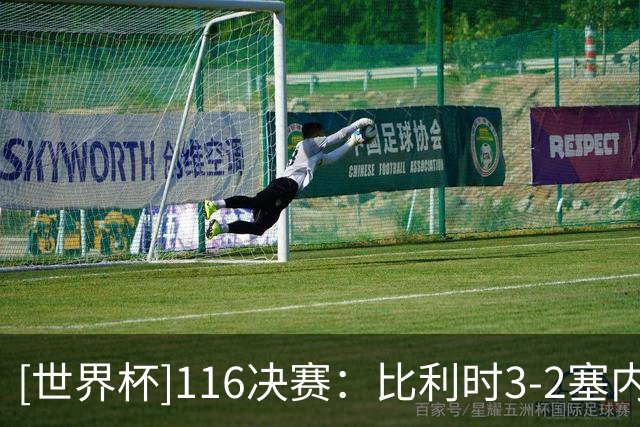[世界杯]1/16决赛：比利时3-2塞内加尔 集锦